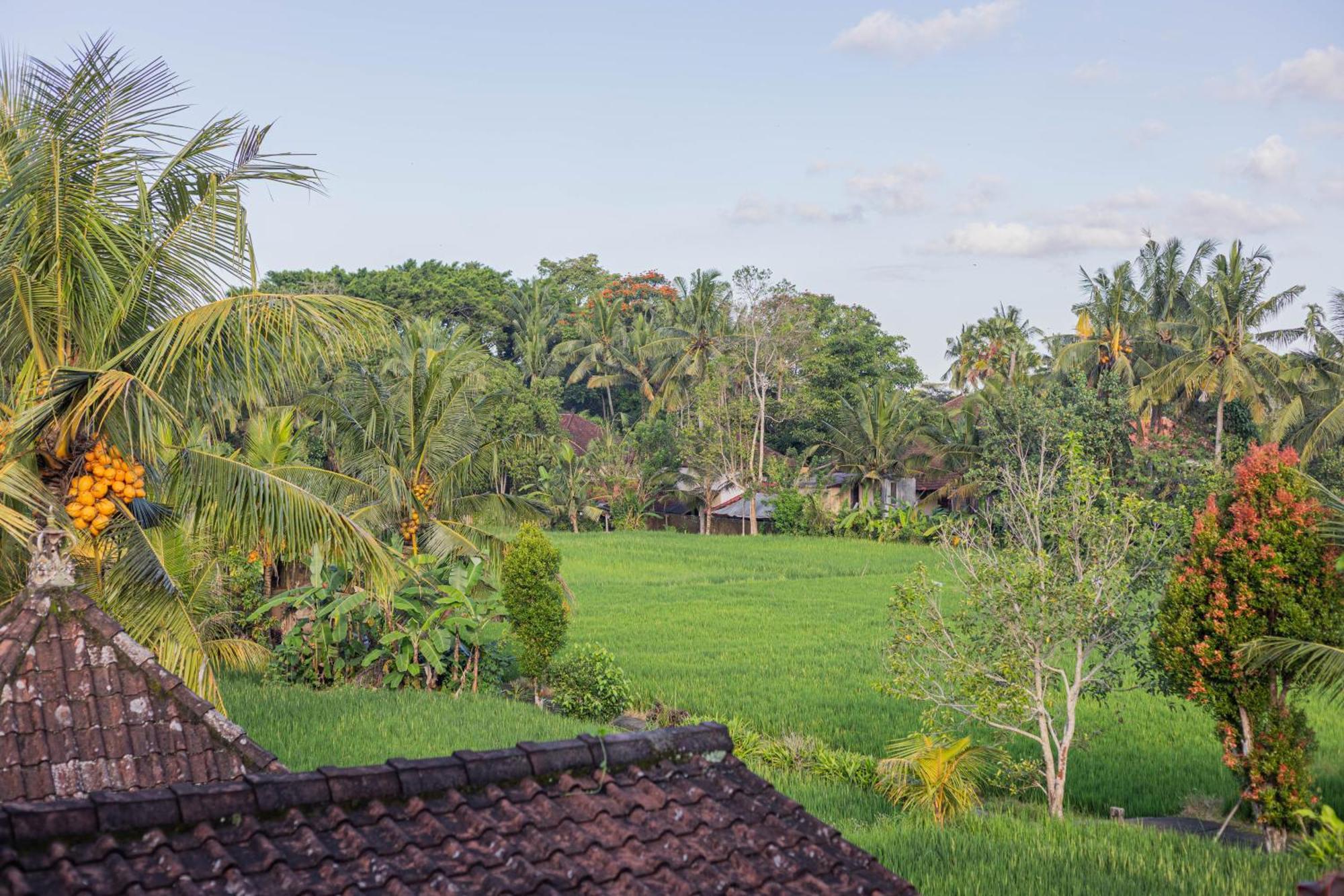 Sari Bamboo Bungalows Ubud Pokoj fotografie